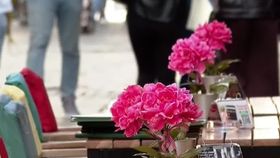 VIDEO Restaurantele supraviețuiesc tot mai greu. Din ce în ce mai mulți renunță la afaceri